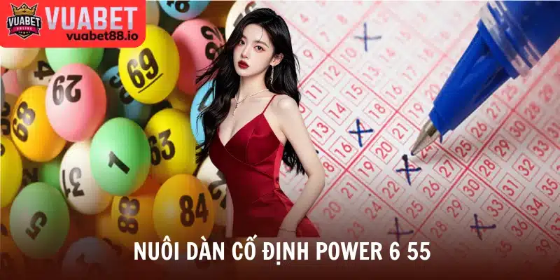 Nuôi dàn cố định power 6 55
