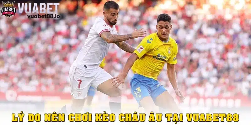 Tại sao nên cược kèo châu Âu tại Vuabet88?